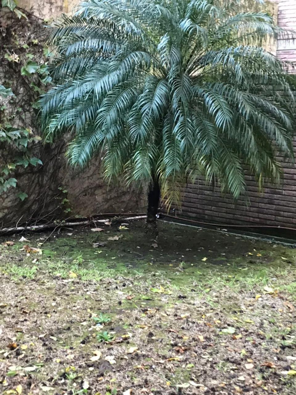 Amplio Dpto Con Jardin En El Centro De La Ciudad Leilighet Rosario Eksteriør bilde